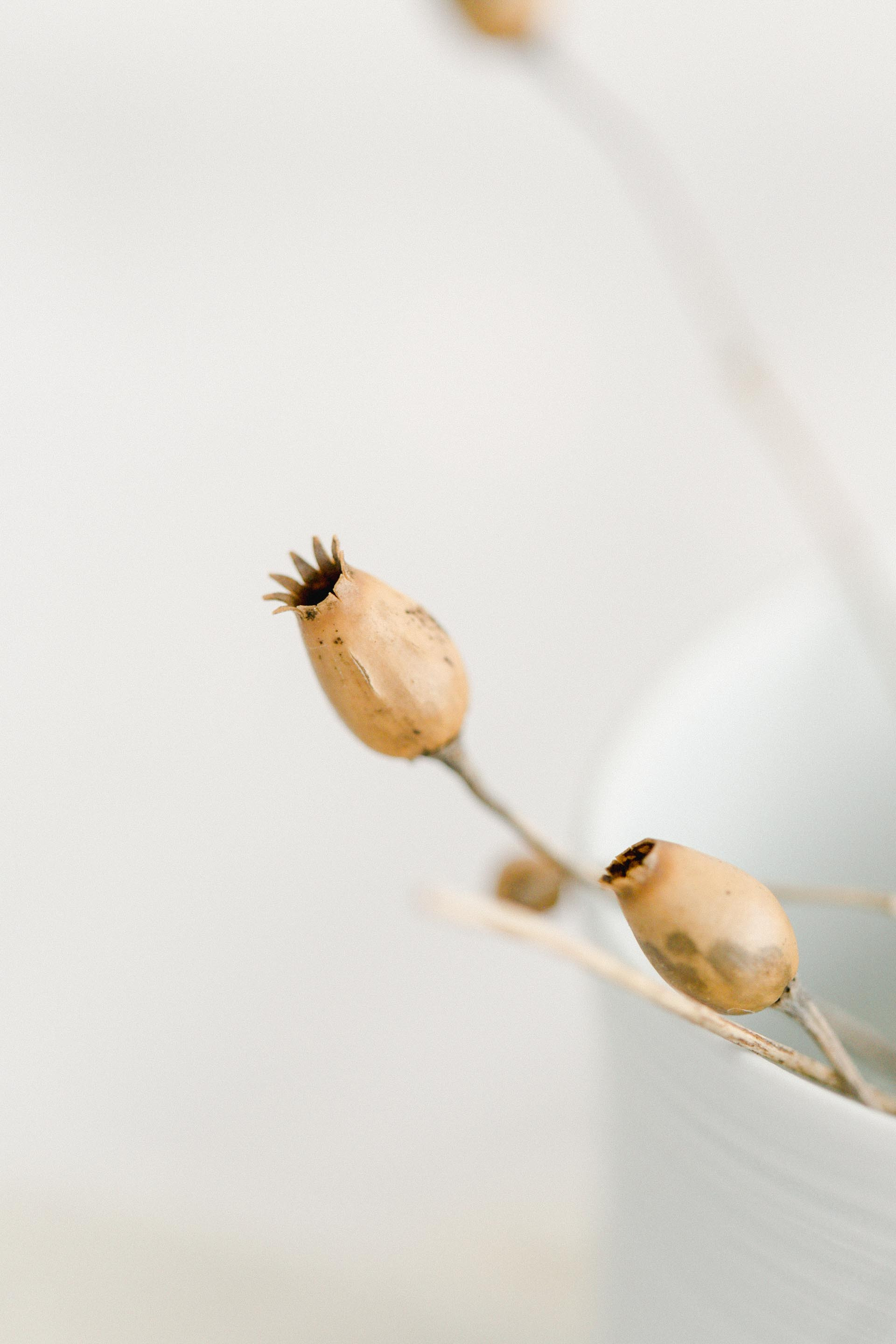 Poterie Hélène Bénéteau